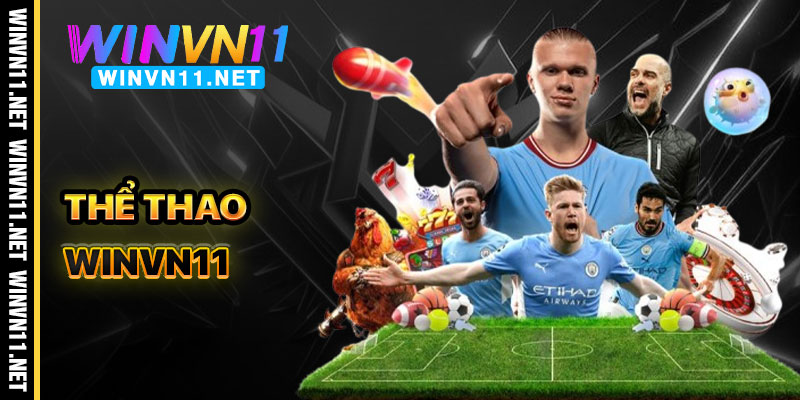 Thể Thao Winvn11