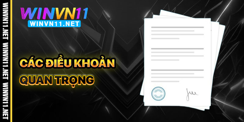 Các Điều Khoản Winvn11 Quan Trọng