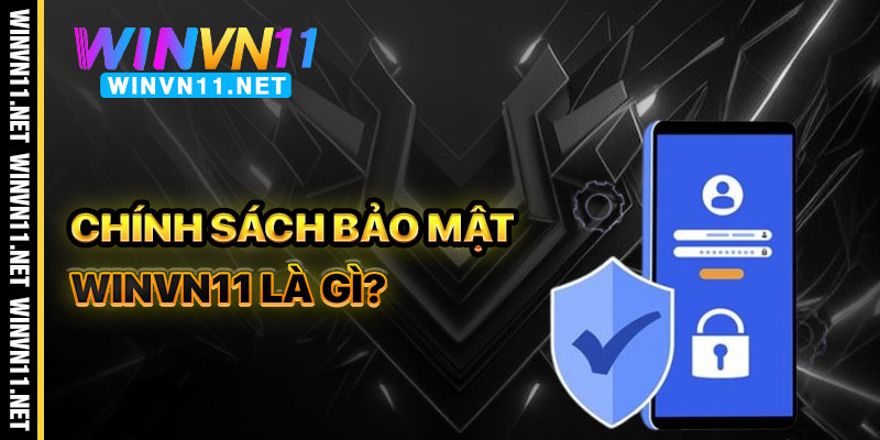 Chính Sách Bảo Mật Winvn11 Là Gì?