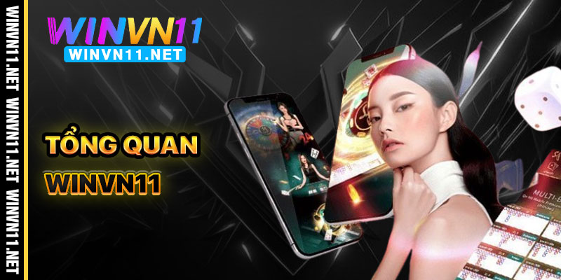 Tổng Quan Về Giới Thiệu Winvn11