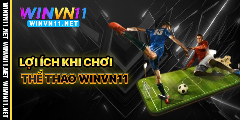 Lợi Ích Khi Chơi Thể Thao Winvn11